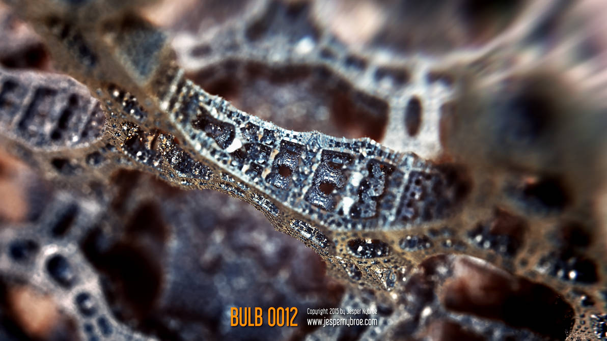 Bulb0012 by ArtOfBinaries Bulb0012 by ArtOfBinaries