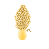 Morel Mushroom - Pixel Challenge Week 15