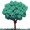 Tree #4 (F2U with link back)