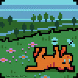 Playing In The Grass