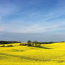 countryside