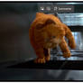 garfield floating in the air