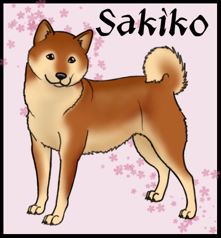 Sakiko