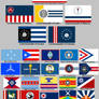 100 Stars: Flags of the Other Fifty US States