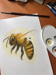 Watercolor Western Honey Bee