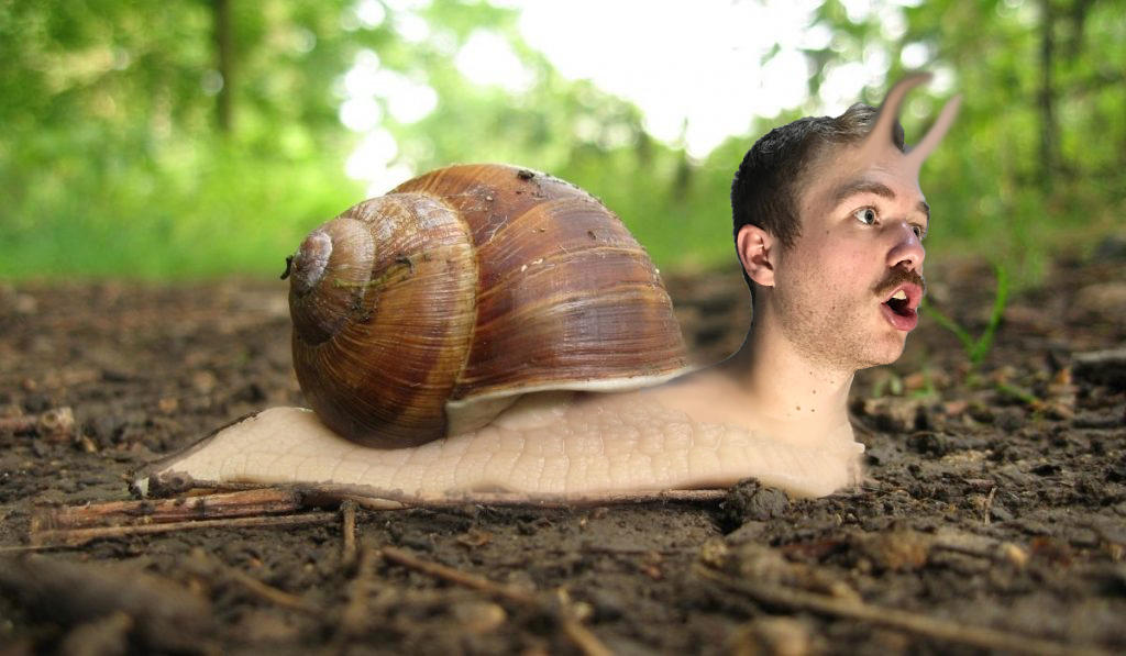 Micro-Snail! by sylenspotions on DeviantArt