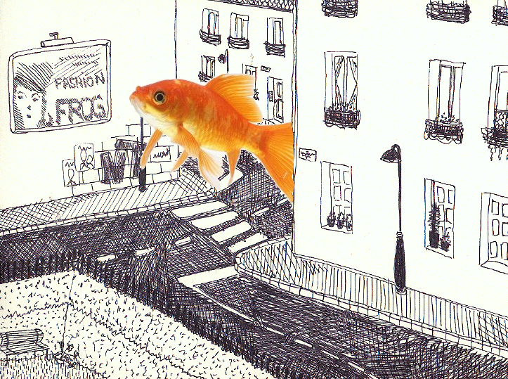 Fish on that street.