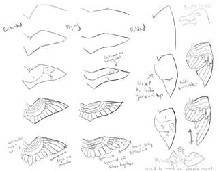 Tutorial Wings On Drawing Tutorial Deviantart