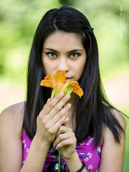 Tiger Lily 1