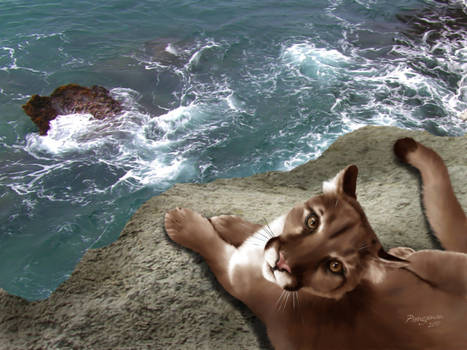 Cliffside Cougar