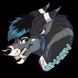 Shawn badge