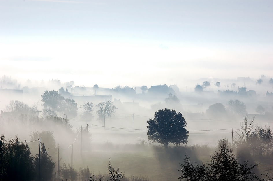 Misty morning