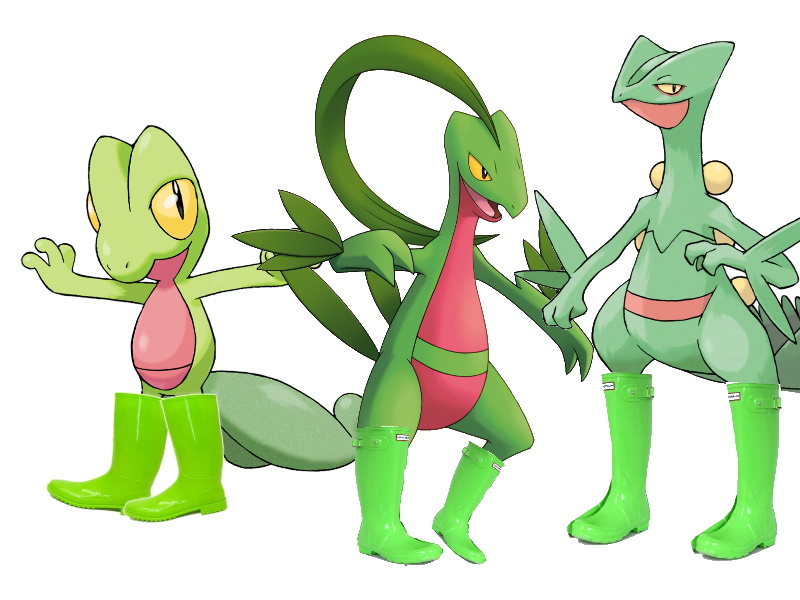 Treecko and his evolutions wearing wellies by PokeBoots on DeviantArt