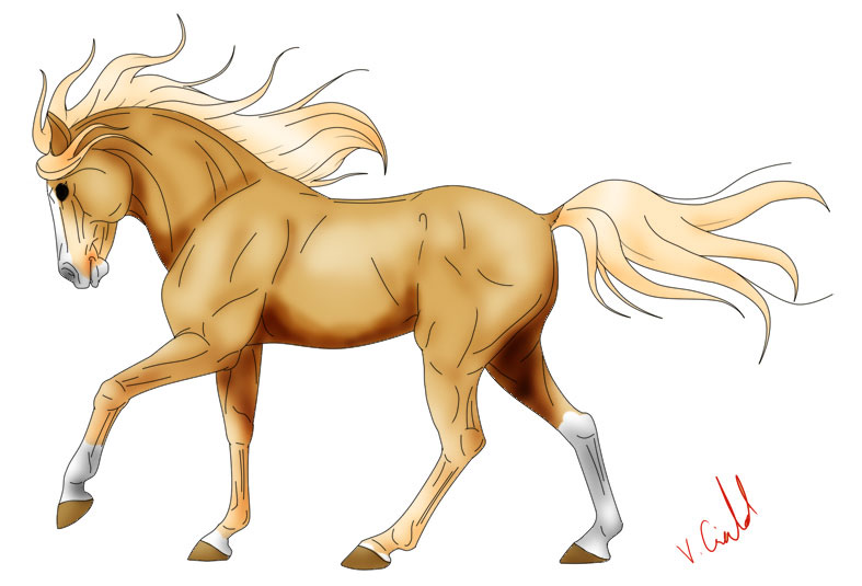 Random palomino horse by FeatherfurWolf on DeviantArt