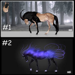 Adopts 41 and 42 (CLOSED)