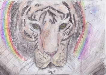 Reflect On a Rainbow Tiger