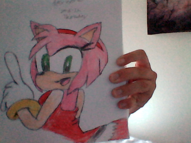 Amy Rose practice