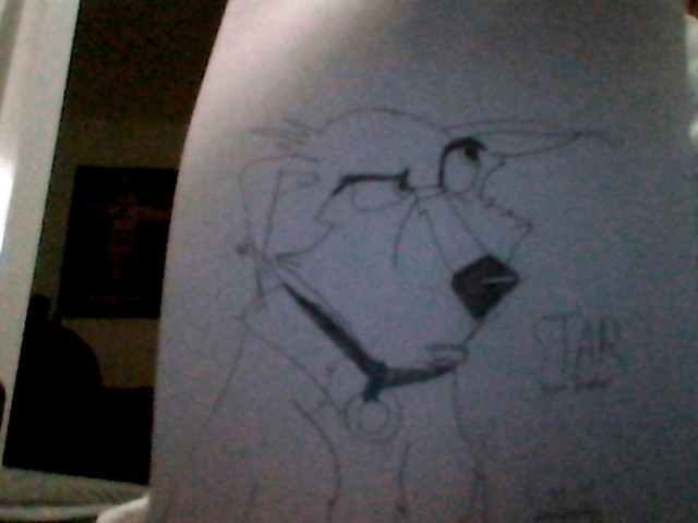 The first drawing of Star from Balto