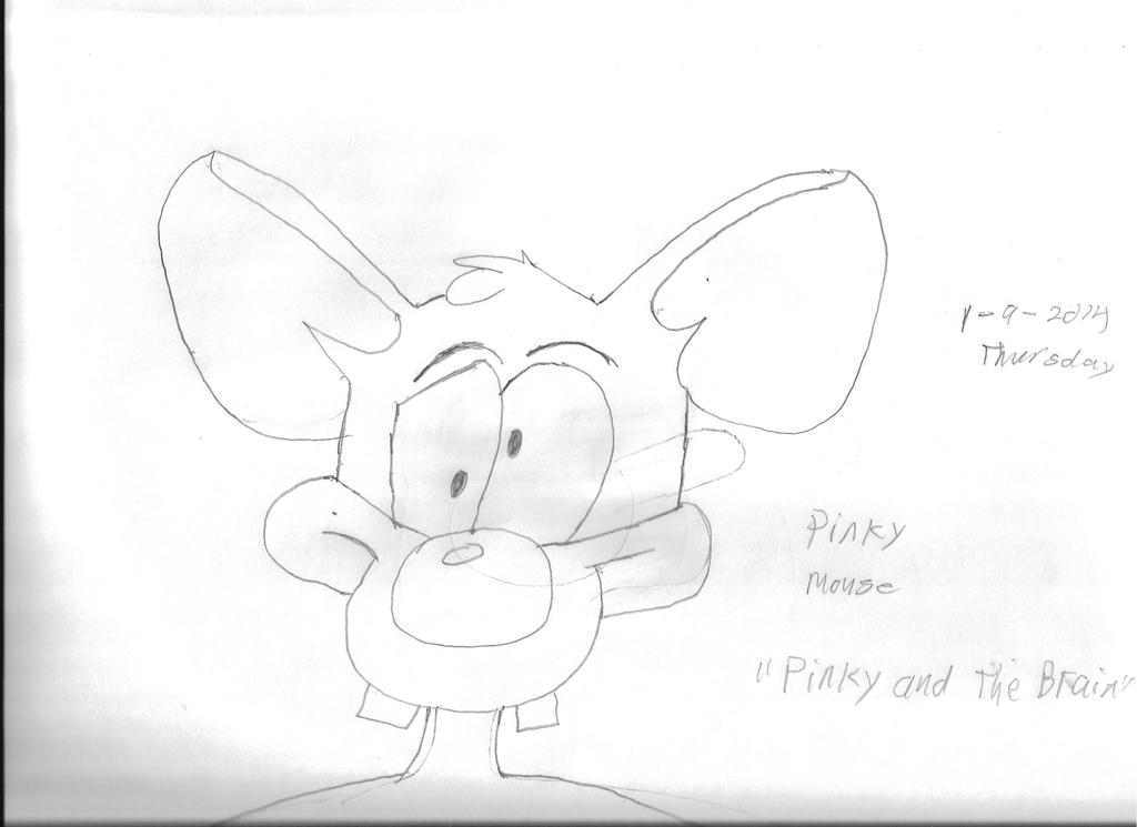 Pinky Mouse by FallNightWolf on DeviantArt