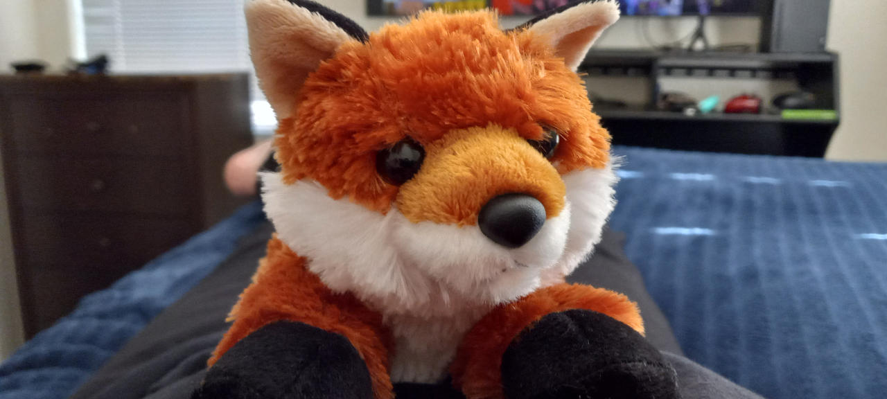 Fall Futter Fox Fox plushie by FallNightWolf on DeviantArt