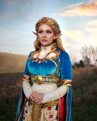 Princess Zelda - Breath of the Wild 2