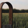 Wheat field