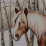 Haflinger in Snow