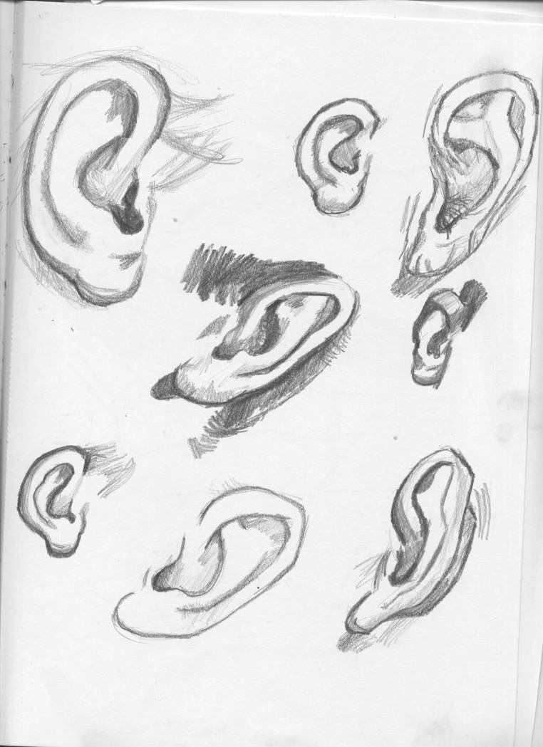ear study by dreamssetufree on DeviantArt