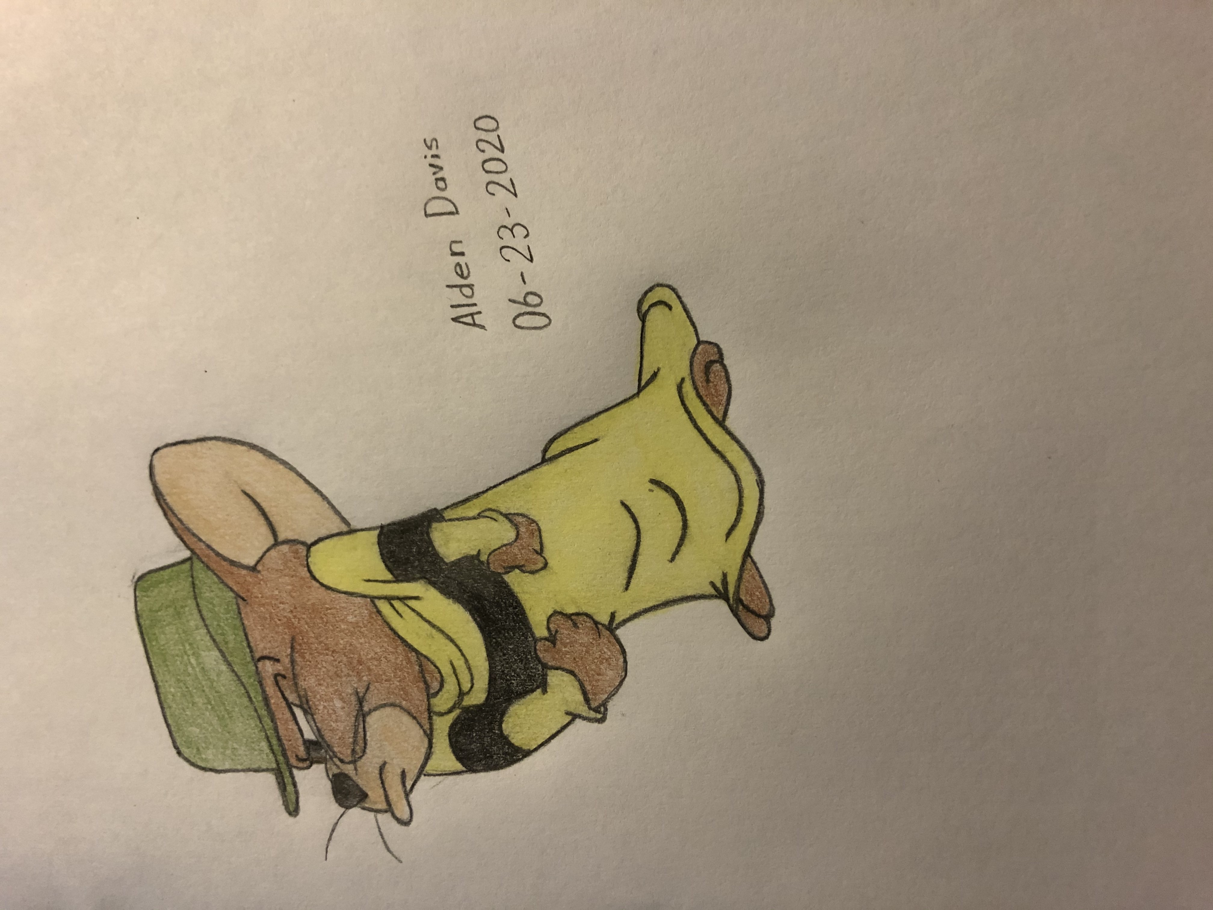 Jerry cousin muscles