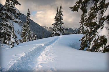 Mount Baker Winterland