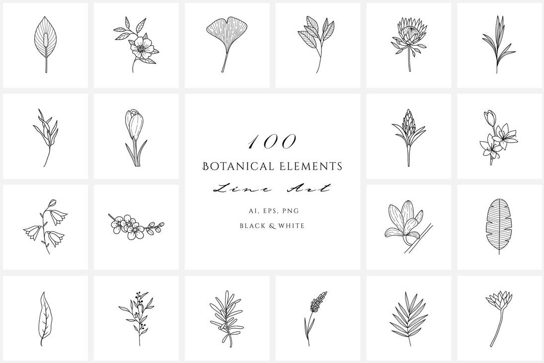 Line Flora Flowers Plants, Line Illustrations by zonetetiouni on DeviantArt