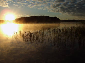 Late summer morning II.