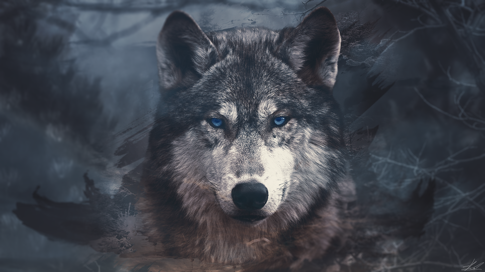 Wolf wallpaper by KurlzDesign on DeviantArt