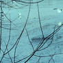 Birds on the Beach Feelin' Blue No. 2