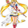 Super Sailor Moon 2014