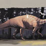 Basal Sauropod