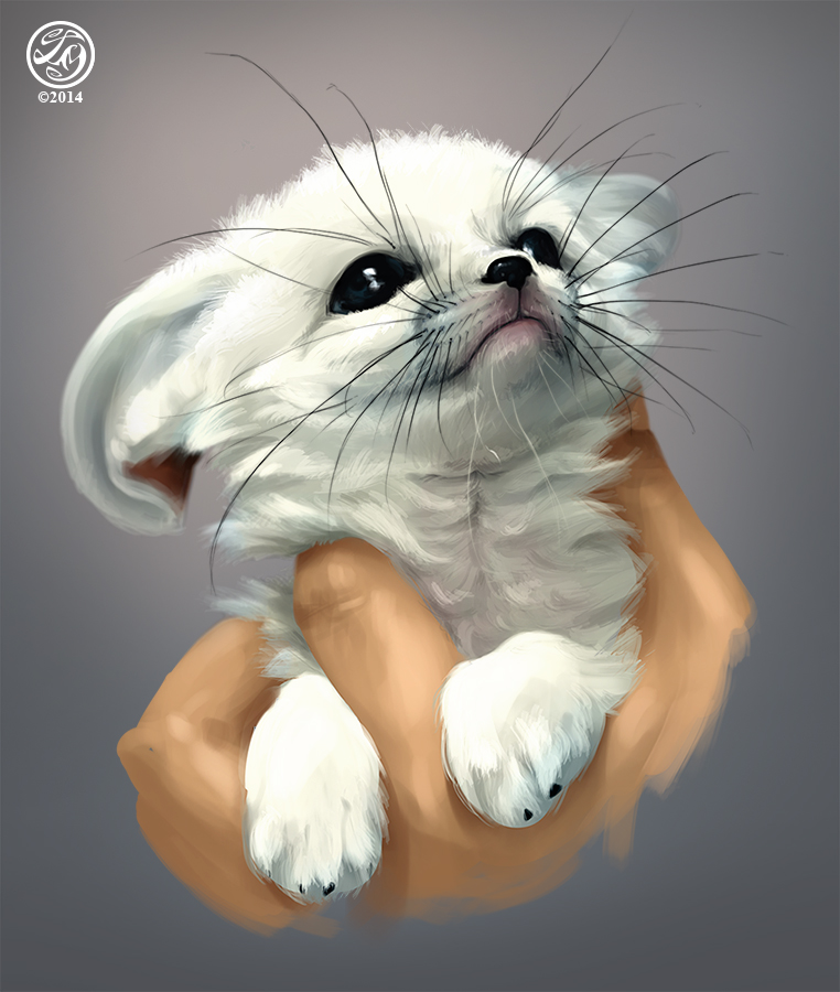 Baby Fox by CatherineSteuer Baby Fox by CatherineSteuer