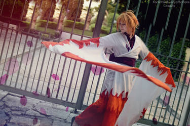 Sakura Hime Cosplay