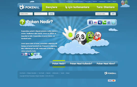 Poken Ecomemrce Design