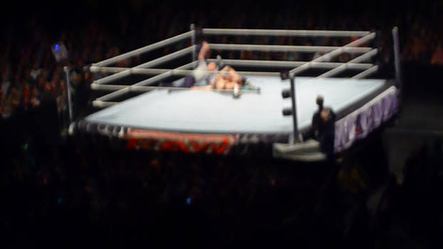 WWE Raw World Tour 2012 - 10