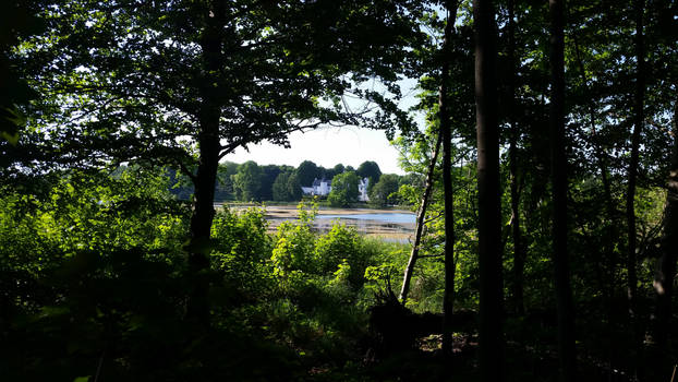 View to a Castle