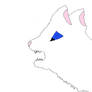 ms paint white wolf with blue