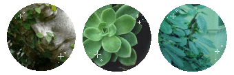 f2u green aesthetic divider