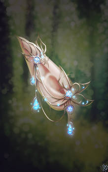 Lyva's Gift