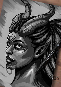 Subscriber Reward - Nadani