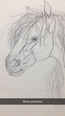Realism sketch