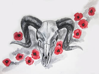 Ram Skull and Poppies