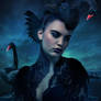 Black Swan Girl