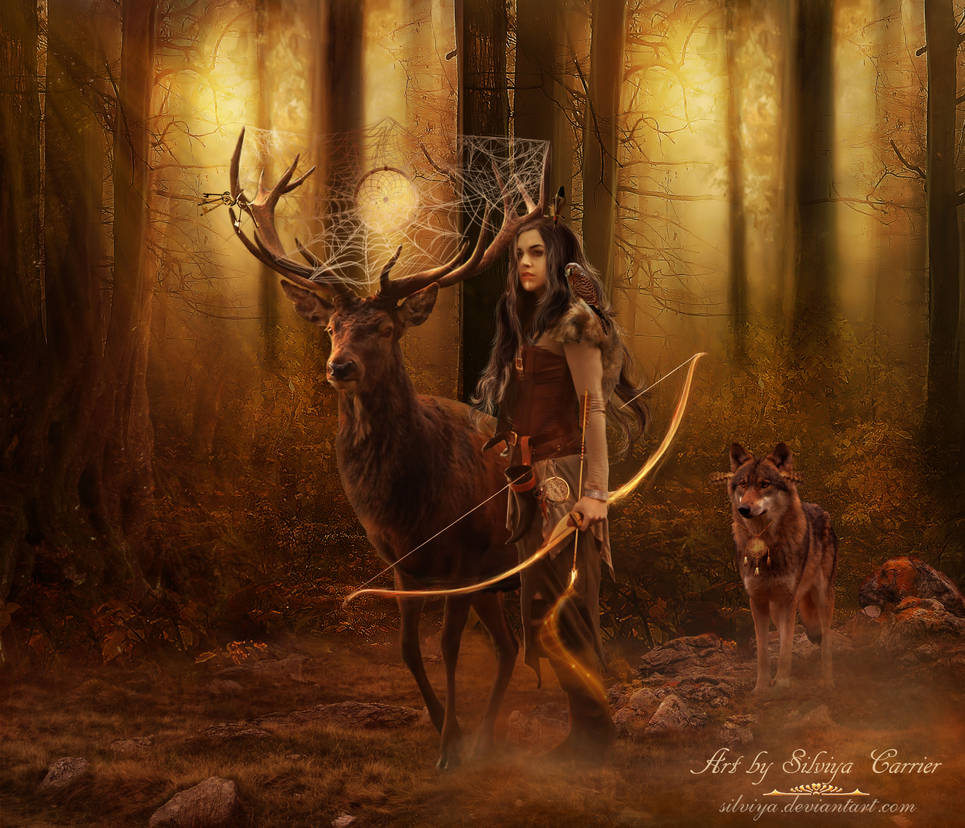 Dreamcatcher by silviya Dreamcatcher by silviya