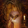 The Owl King